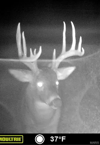 $554,300 | 0 Union Grove Avenue, Greenville, IL 62246