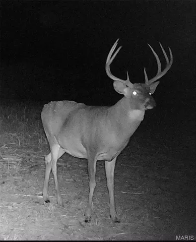 $554,300 | 0 Union Grove Avenue, Greenville, IL 62246