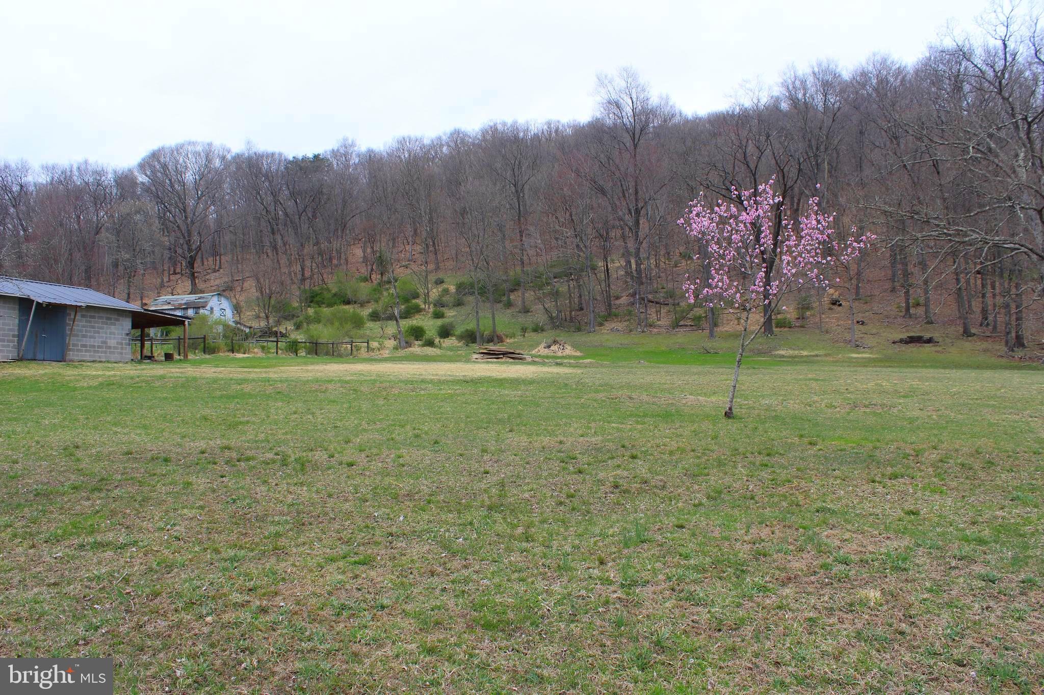 12905 Gramlich Road Southwest La Vale, MD 21502 - Photo 8 of 29 Gallery Image 8