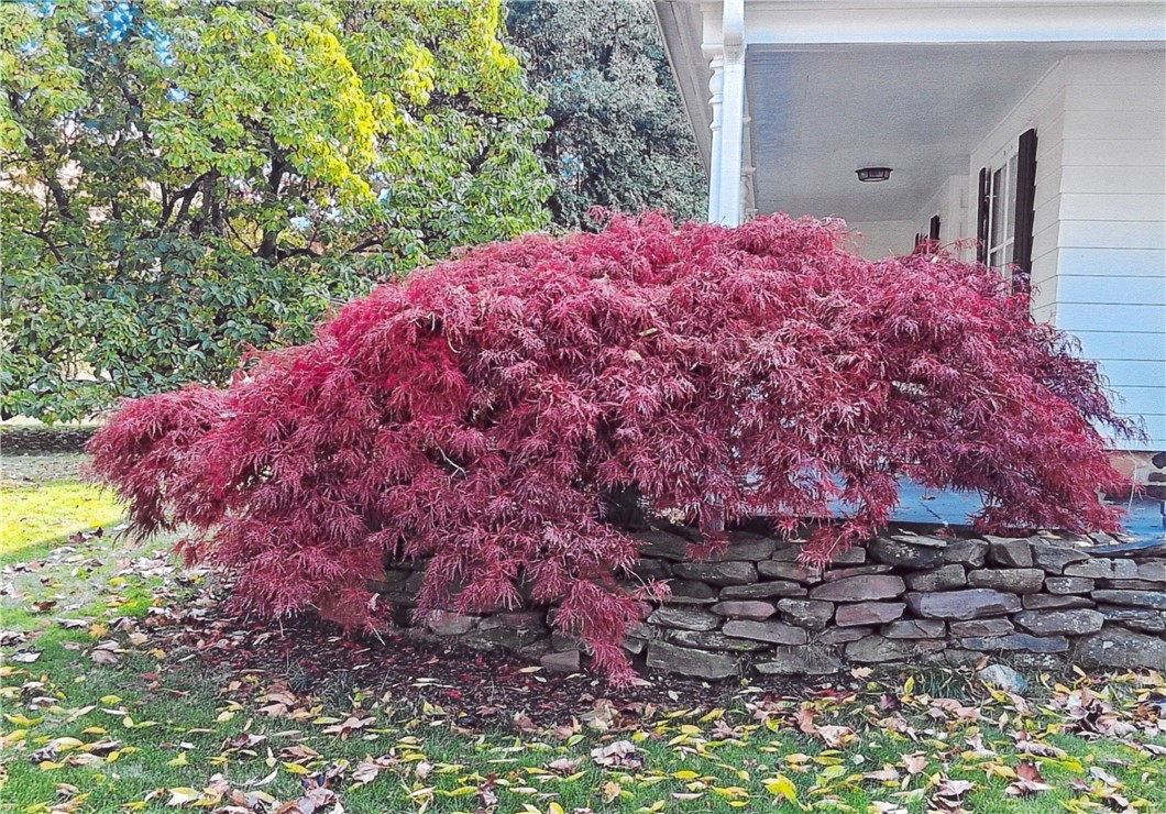 1831 Manitou Road Parma, NY 14559 - Photo 47 of 49