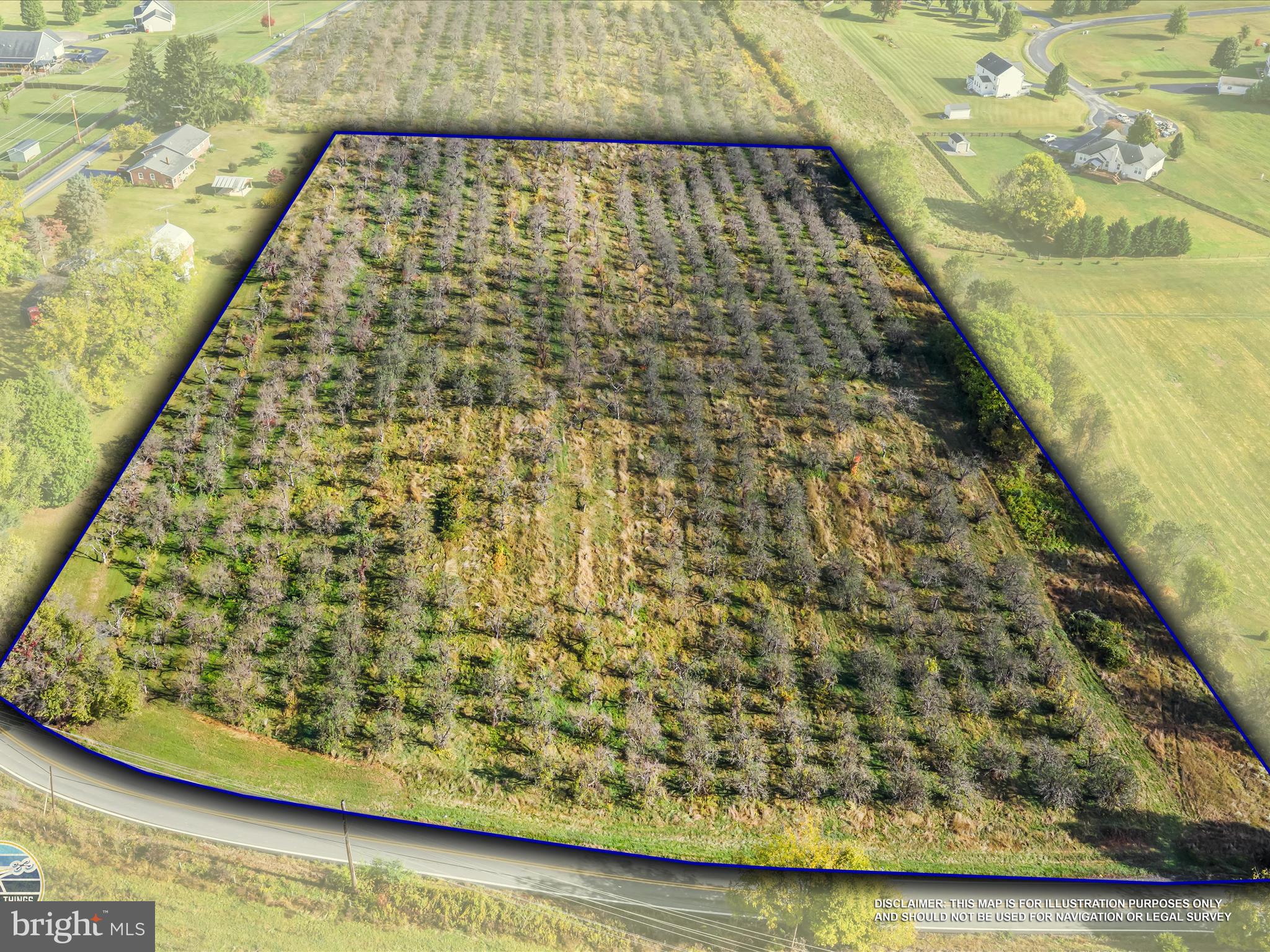 a view of a swimming pool