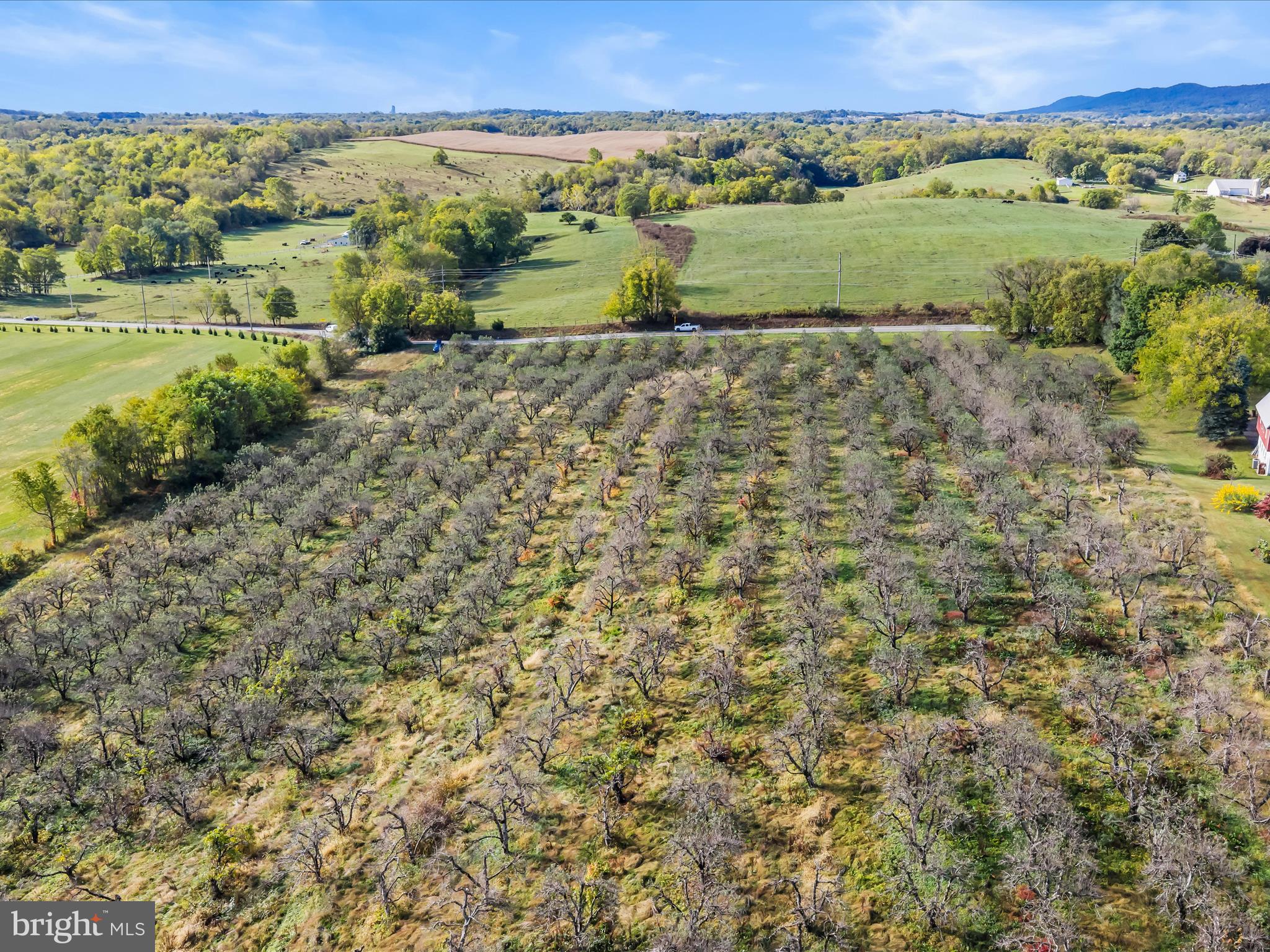 Hammonds Mill Road Hedgesville, WV 25427 - Photo 13 of 25 a view of an outdoor space with a lake view