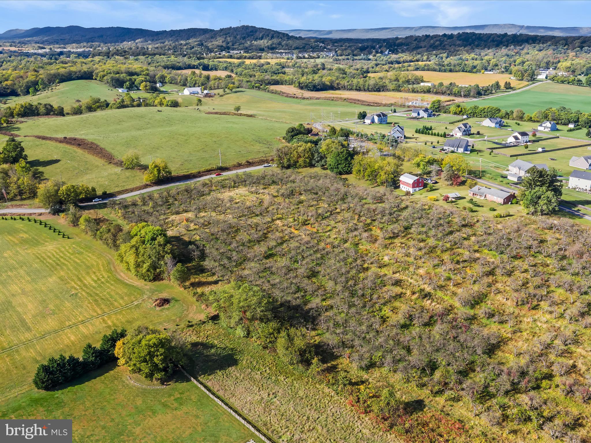 Hammonds Mill Road Hedgesville, WV 25427 - Photo 19 of 25 a view of a lush green field