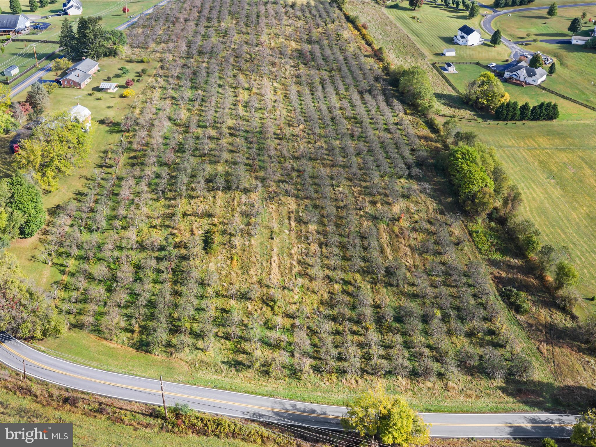 Hammonds Mill Road Hedgesville, WV 25427 - Photo 2 of 25