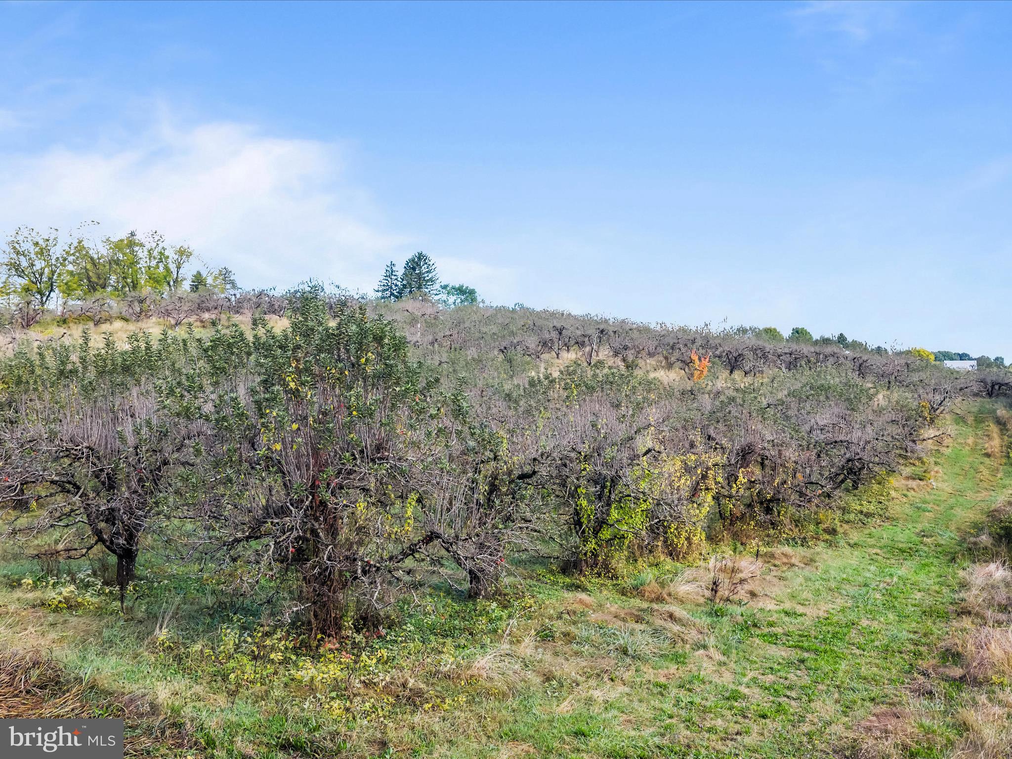 Hammonds Mill Road Hedgesville, WV 25427 - Photo 3 of 25