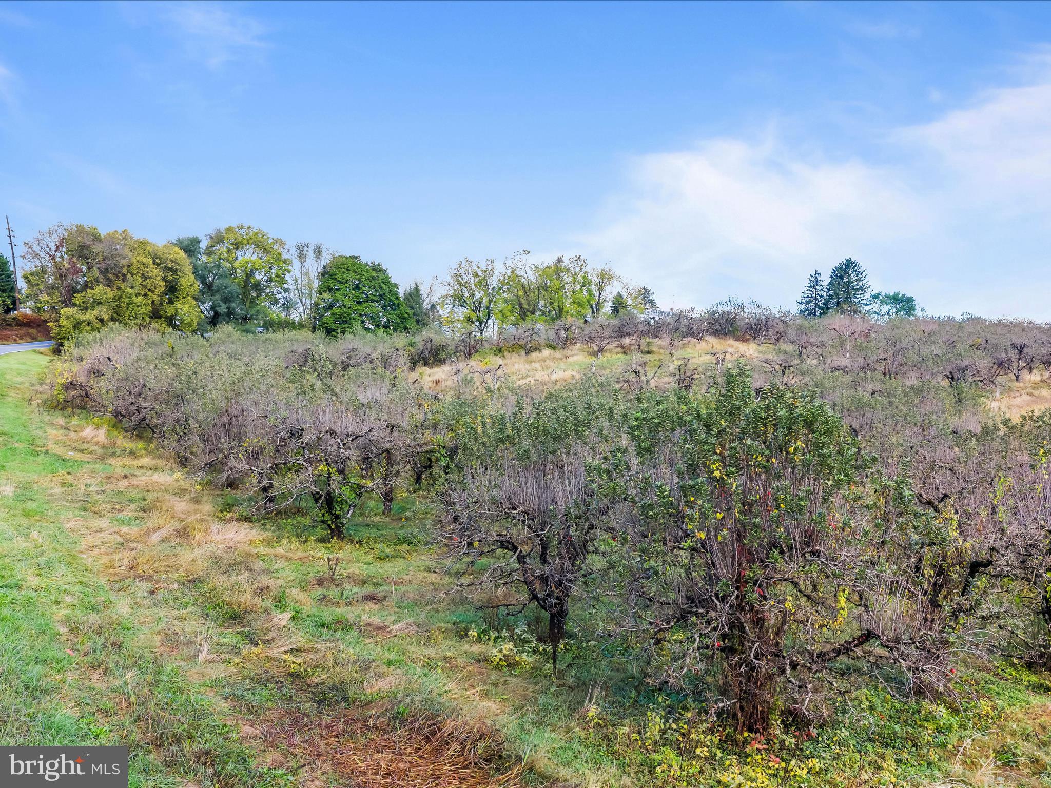 Hammonds Mill Road Hedgesville, WV 25427 - Photo 4 of 25 a view of a field of grass and trees