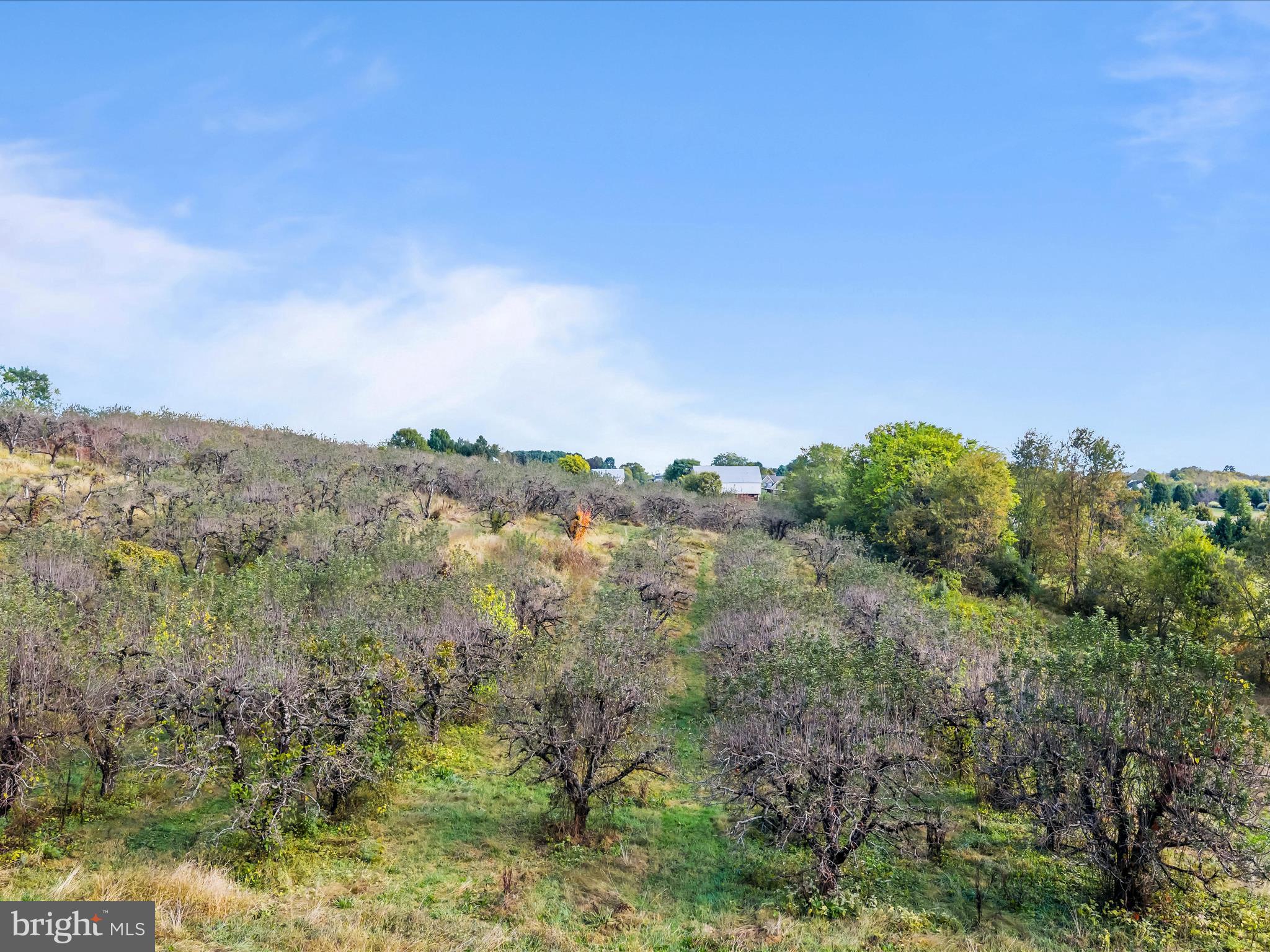 Hammonds Mill Road Hedgesville, WV 25427 - Photo 5 of 25 a view of a lake with mountains in the background