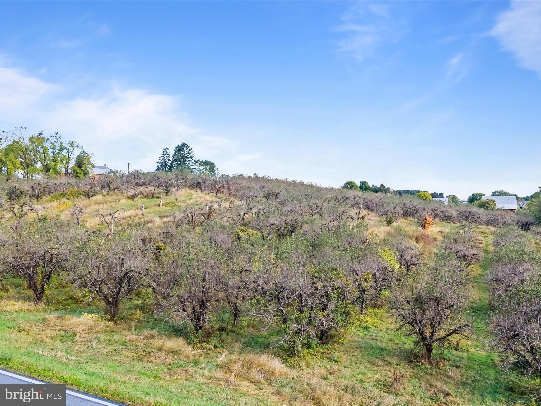Hammonds Mill Road Hedgesville, WV 25427 - Photo 6 of 25 a view of mountain view with wooden floor