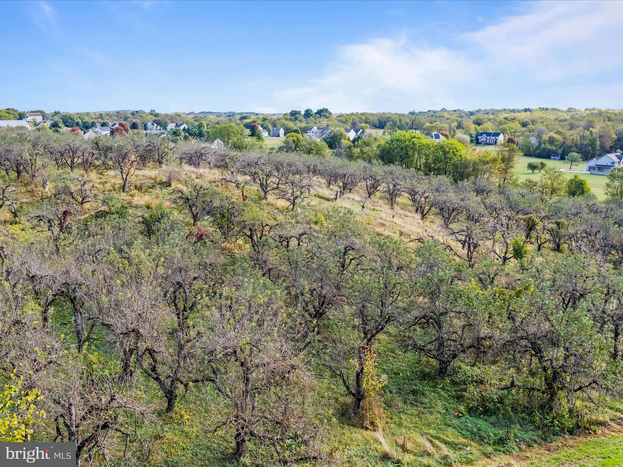 Hammonds Mill Road Hedgesville, WV 25427 - Photo 7 of 25 a view of a city with lush green forest