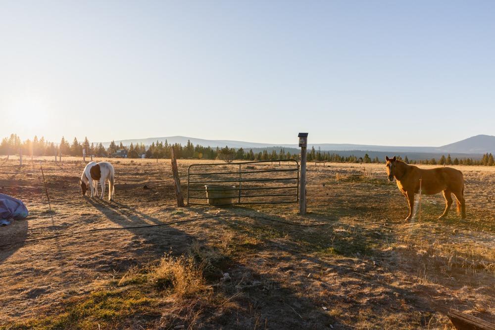 23220 Bliss Road Sprague River, OR 97639 - Photo 23 of 35 a view of a ocean view