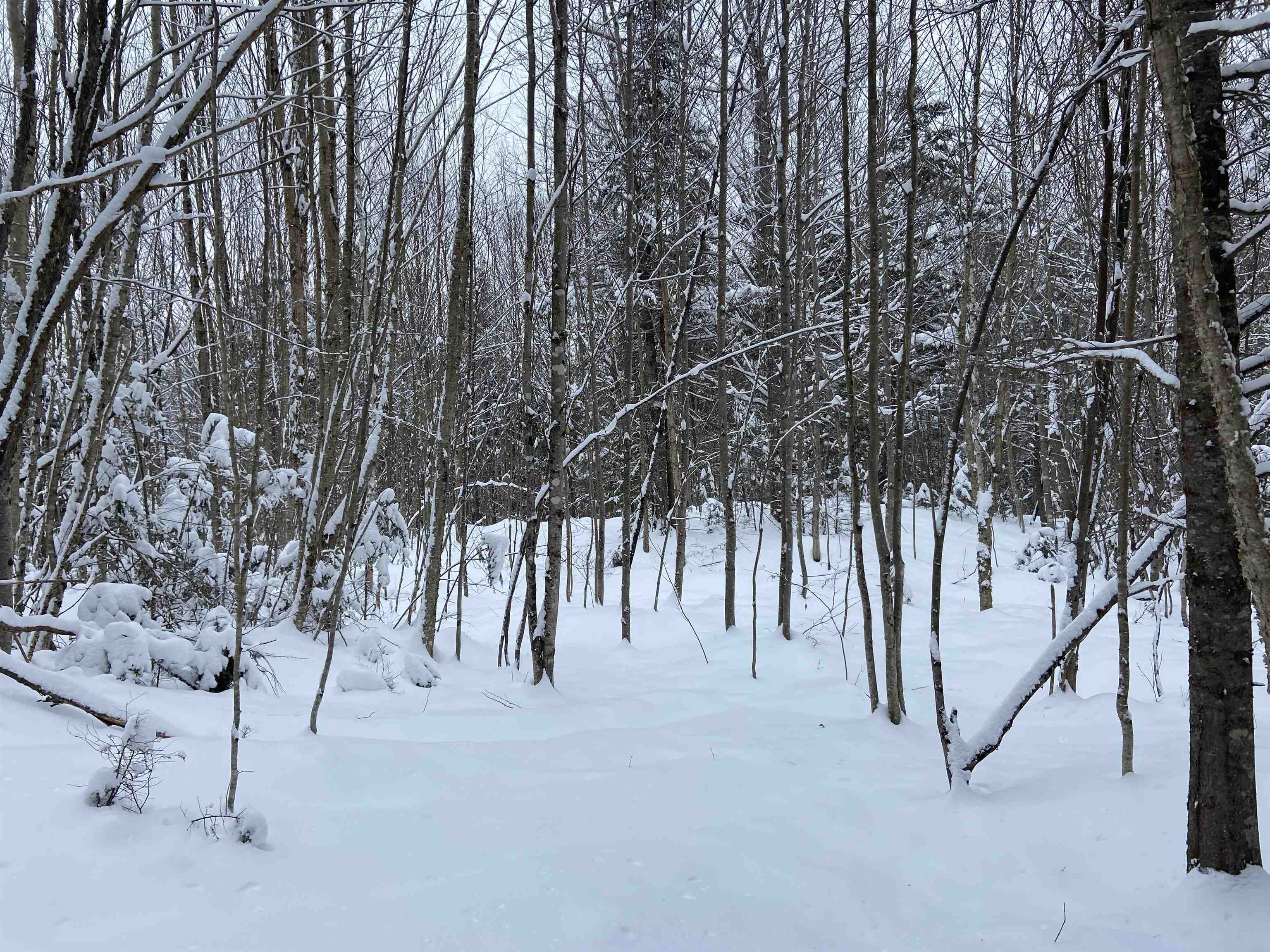 0 Fall Brook Road, Unit 3 Lyndonville, VT 05851 - Photo 11 of 26 Gallery Image 11