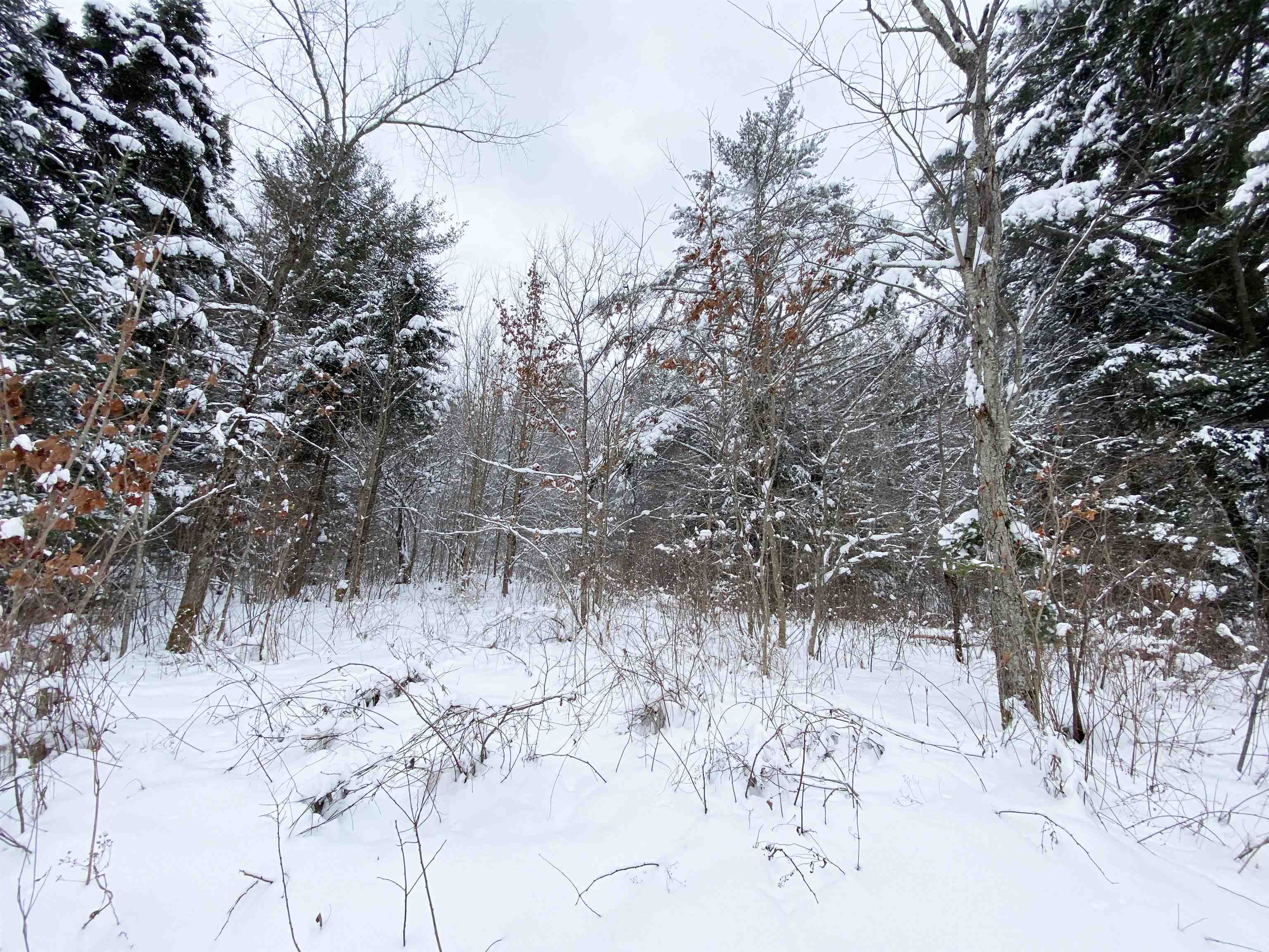 0 Fall Brook Road, Unit 3 Lyndonville, VT 05851 - Photo 12 of 26 Gallery Image 12