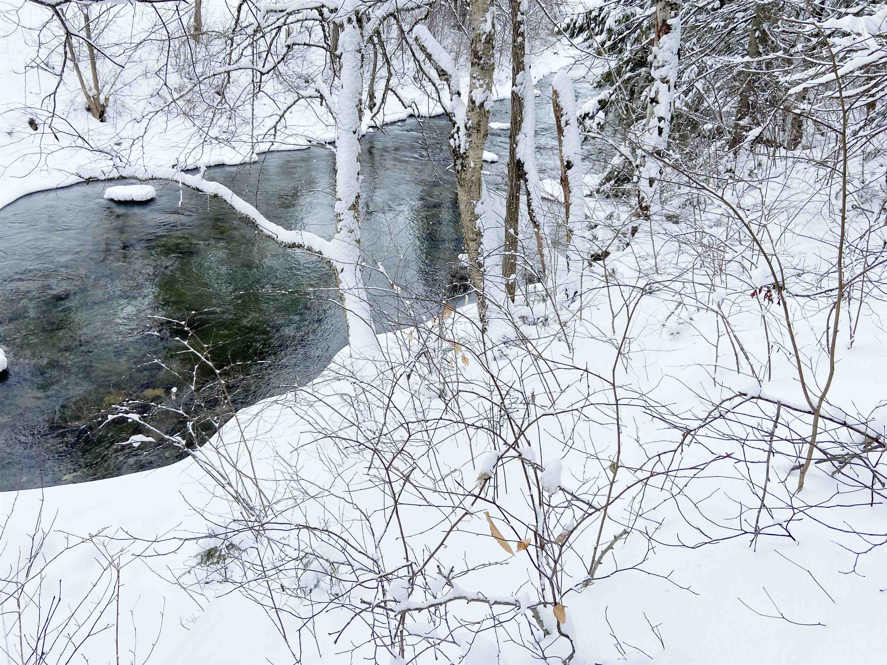 0 Fall Brook Road, Unit 3 Lyndonville, VT 05851 - Photo 17 of 26 Gallery Image 17