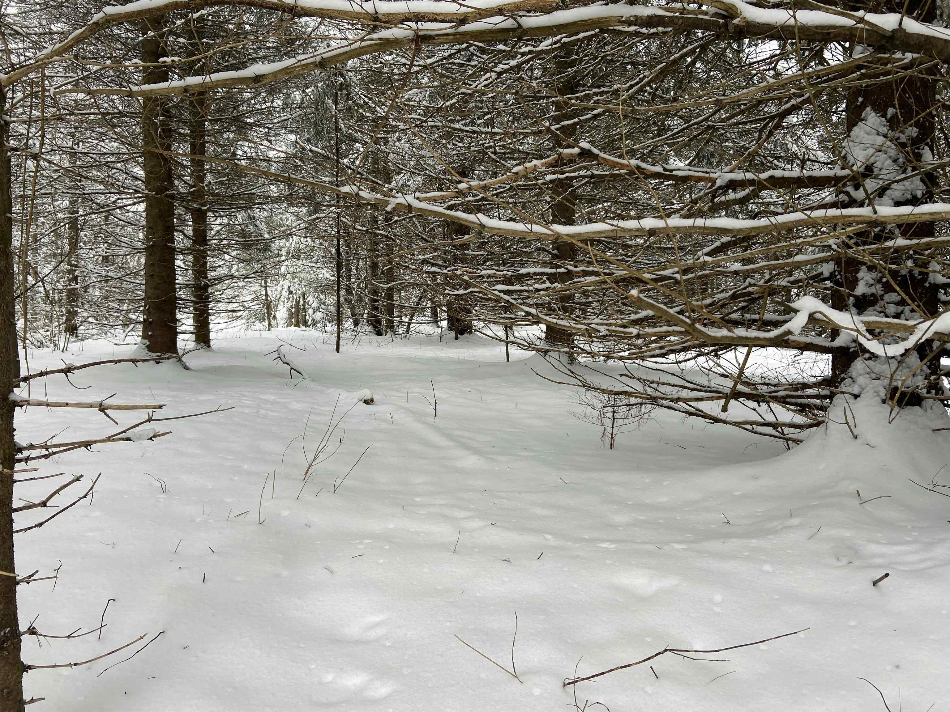 0 Fall Brook Road, Unit 3 Lyndonville, VT 05851 - Photo 23 of 26 Gallery Image 23