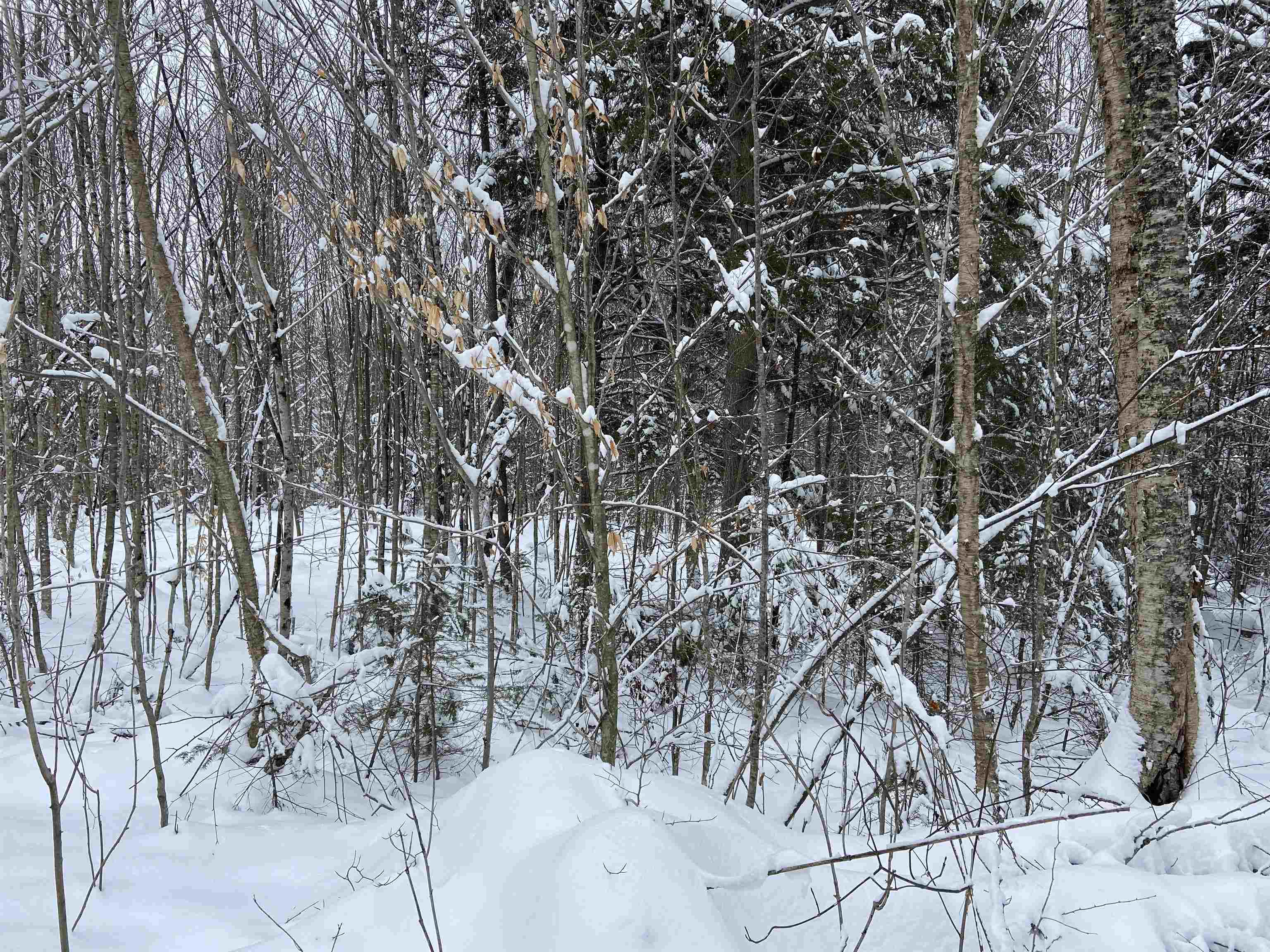 0 Fall Brook Road, Unit 3 Lyndonville, VT 05851 - Photo 8 of 26 Gallery Image 8