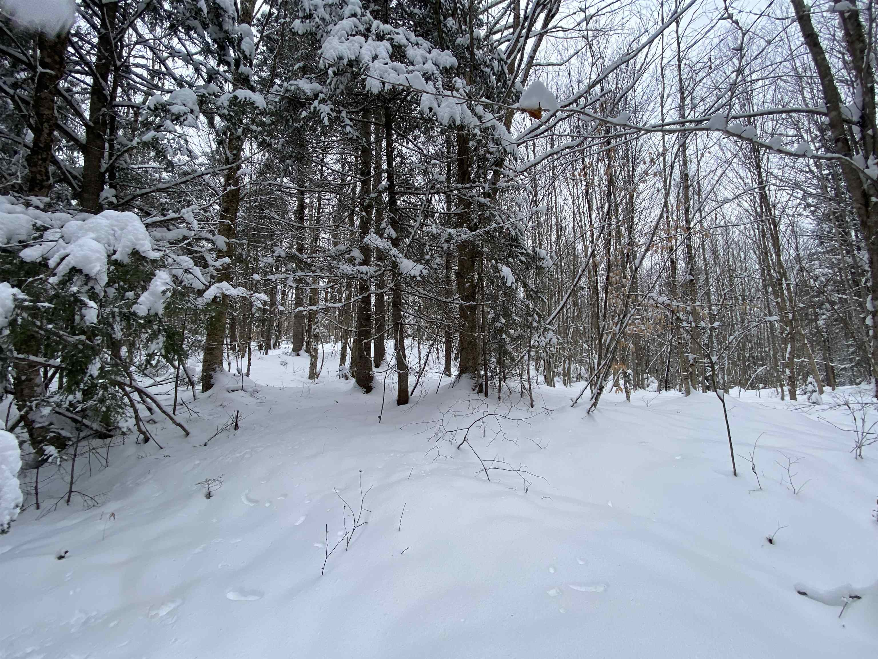 0 Fall Brook Road, Unit 3 Lyndonville, VT 05851 - Photo 9 of 26 Gallery Image 9