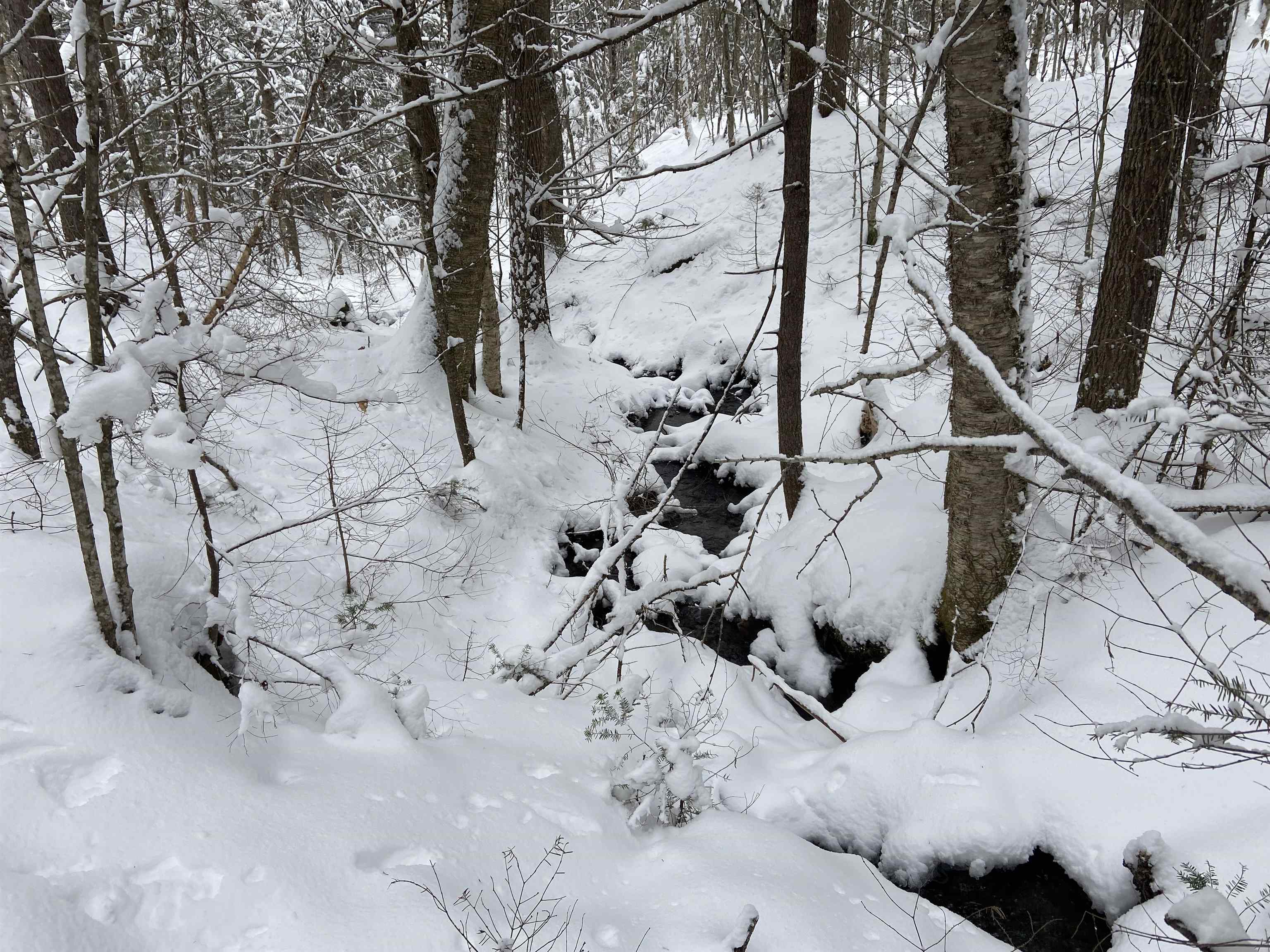 0 Fall Brook Road, Unit 3 Lyndonville, VT 05851 - Photo 10 of 26 Gallery Image 10