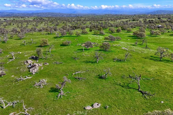a view of a lush green field