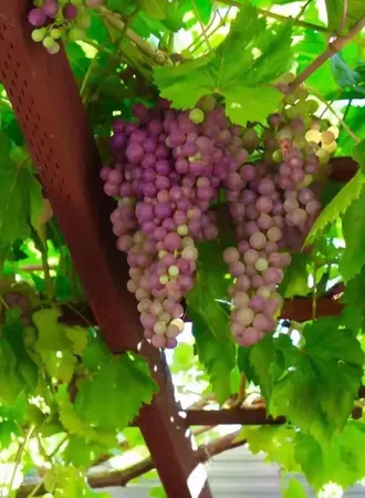 $1,400,000 | 2158 Capitol Park Court, San Jose, CA 95132