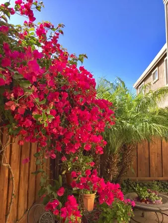 $1,400,000 | 2158 Capitol Park Court, San Jose, CA 95132