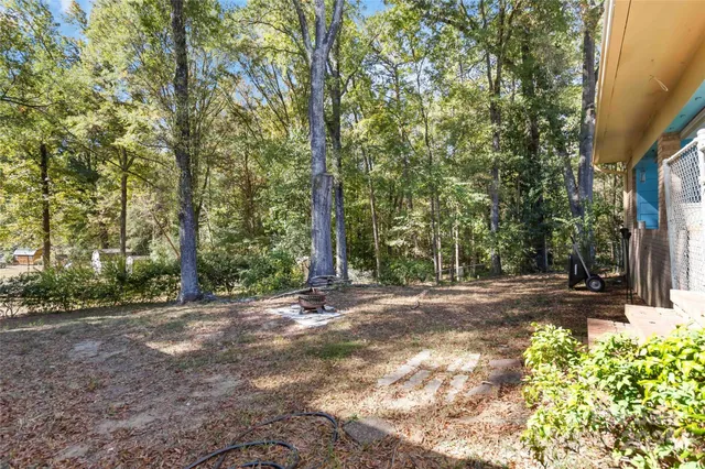 a view of a tree in the middle of a yard