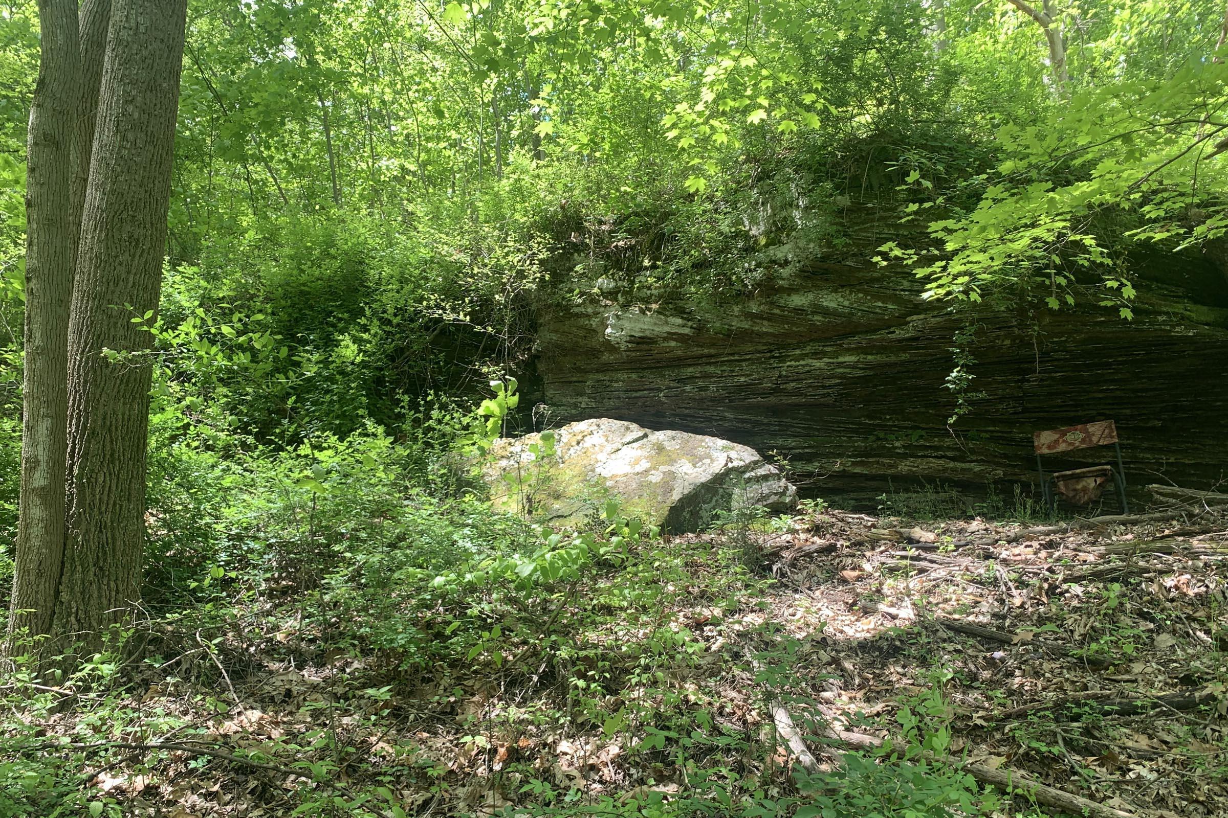 0 Tennant Road, Unit TRACT 2 Ray, OH 45672 - Photo 5 of 39 20230509_171201449_iOS