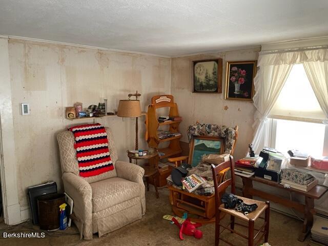 32 North Main Road Otis, MA 01253 - Photo 13 of 30 a room with furniture a rug and white walls