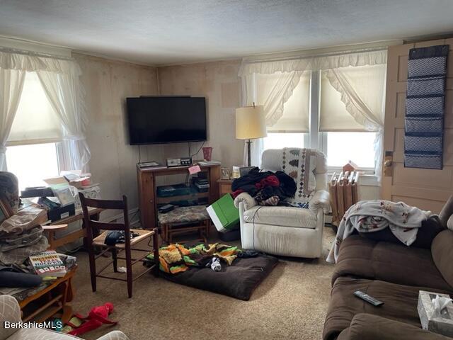 32 North Main Road Otis, MA 01253 - Photo 19 of 30 a living room with furniture and a flat screen tv