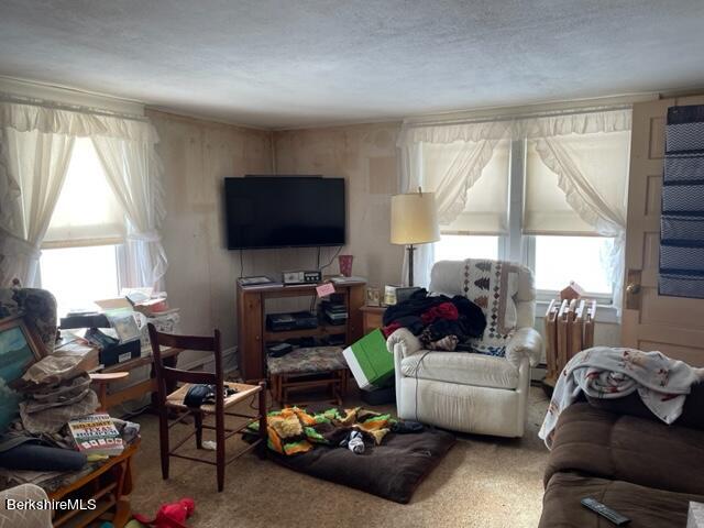 32 North Main Road Otis, MA 01253 - Photo 20 of 30 a living room with furniture and a flat screen tv