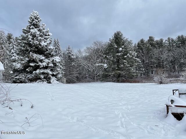 32 North Main Road Otis, MA 01253 - Photo 24 of 30 a view of bathtub and trees covered with fog