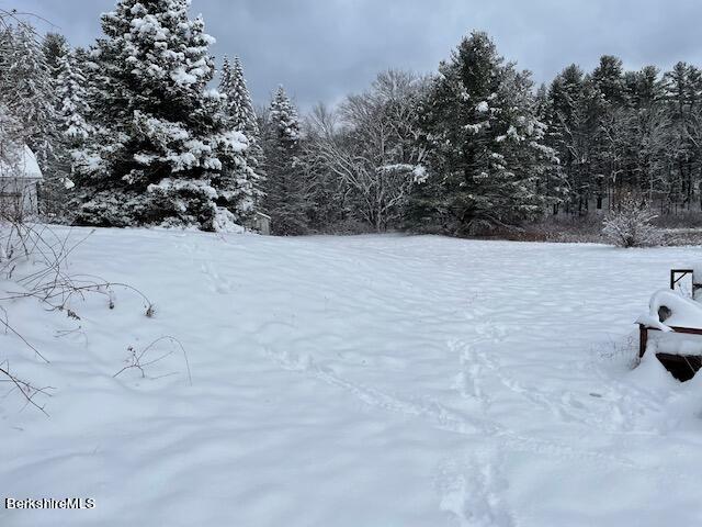 32 North Main Road Otis, MA 01253 - Photo 25 of 30 a view of outdoor space and covered with trees