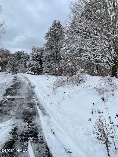 32 North Main Road Otis, MA 01253 - Photo 30 of 30 a view of dirt yard with wooden fence