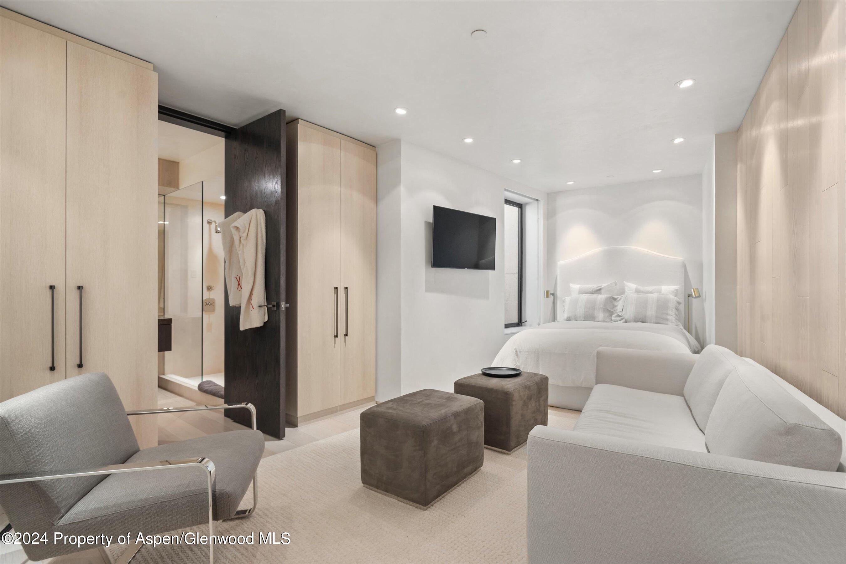 600 Nell Erickson Road Aspen, CO 81612 - Photo 23 of 40 a living room with furniture and a flat screen tv