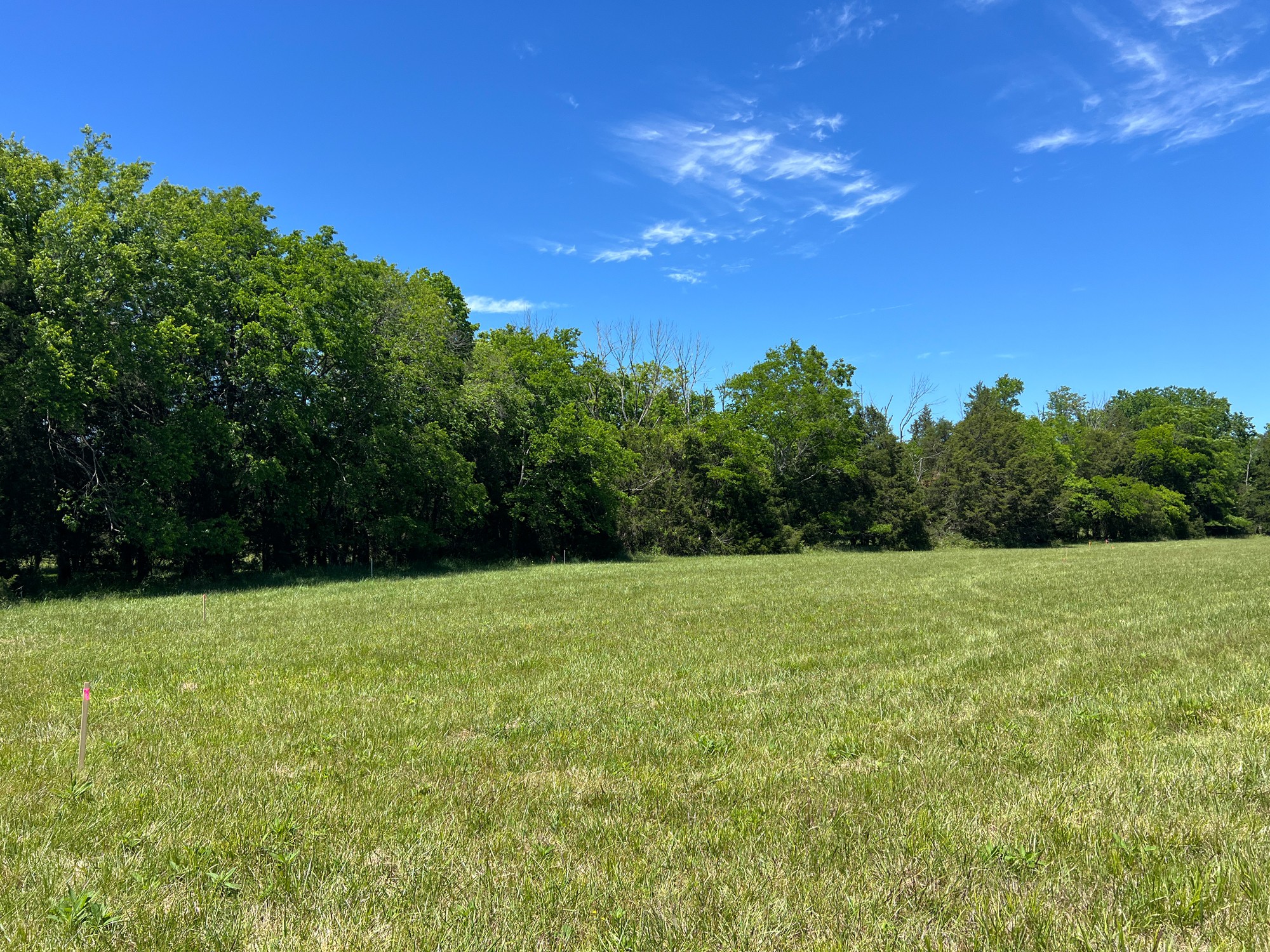 2825 Oregon Road Milton, TN 37118 - Photo 3 of 4 Gallery Image 3