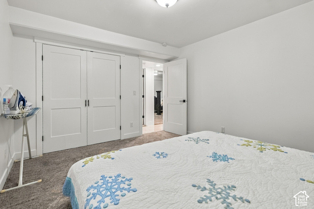 244 East Sevier River Road Central Valley, UT 84754 - Photo 62 of 66 Neutral wall color, wall-to-wall carpeting, white interior doors, matte black door hardware, ceiling-mounted light fixture
