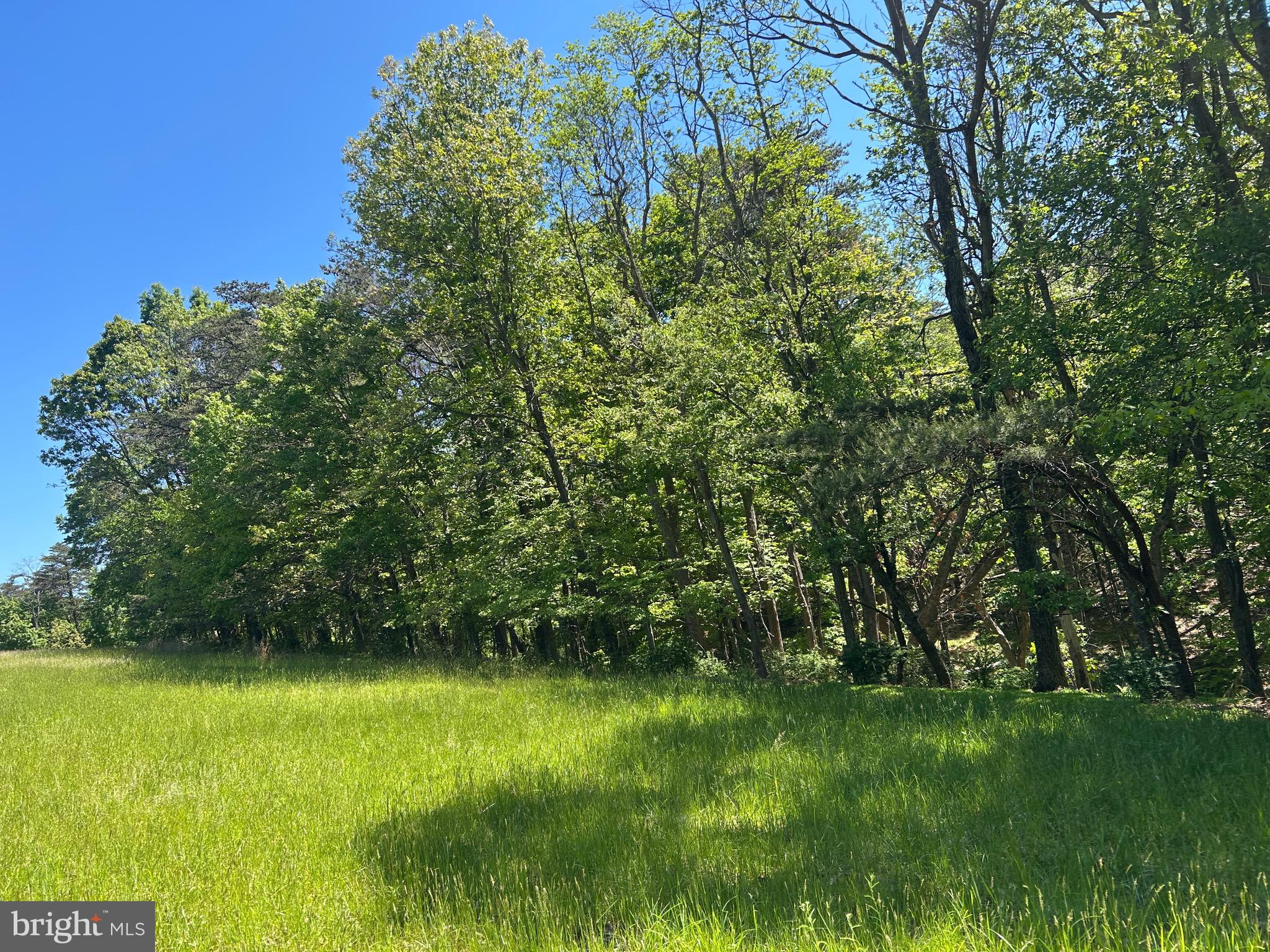 South Timber Ridge Road Cross Junction, VA 22625 - Photo 11 of 32 a view of outdoor space and yard