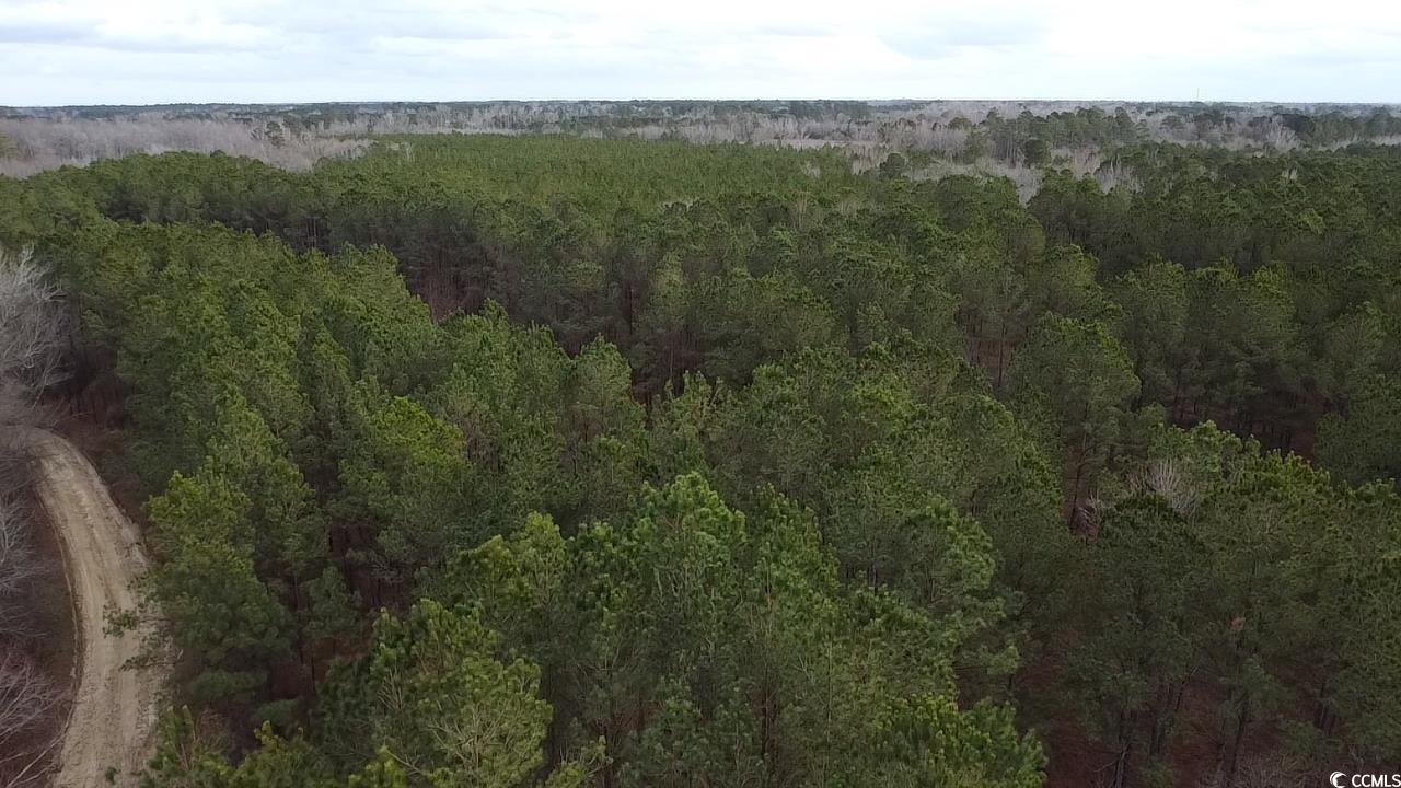 Tbd Tbd Copeland Moody Road Latta, SC 29565 - Photo 11 of 14 Aerial view featuring a view of trees