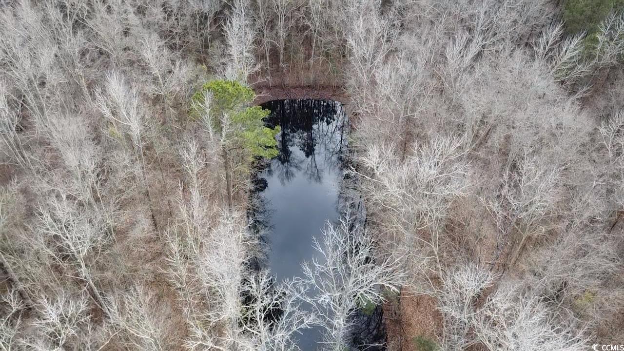 Tbd Tbd Copeland Moody Road Latta, SC 29565 - Photo 12 of 14 Birds eye view of property featuring a water view and a wooded view