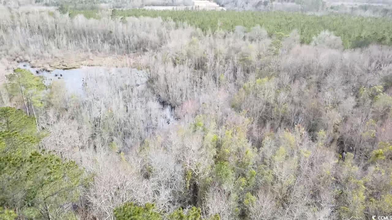 Tbd Tbd Copeland Moody Road Latta, SC 29565 - Photo 13 of 14 Drone / aerial view featuring a forest view and a water view