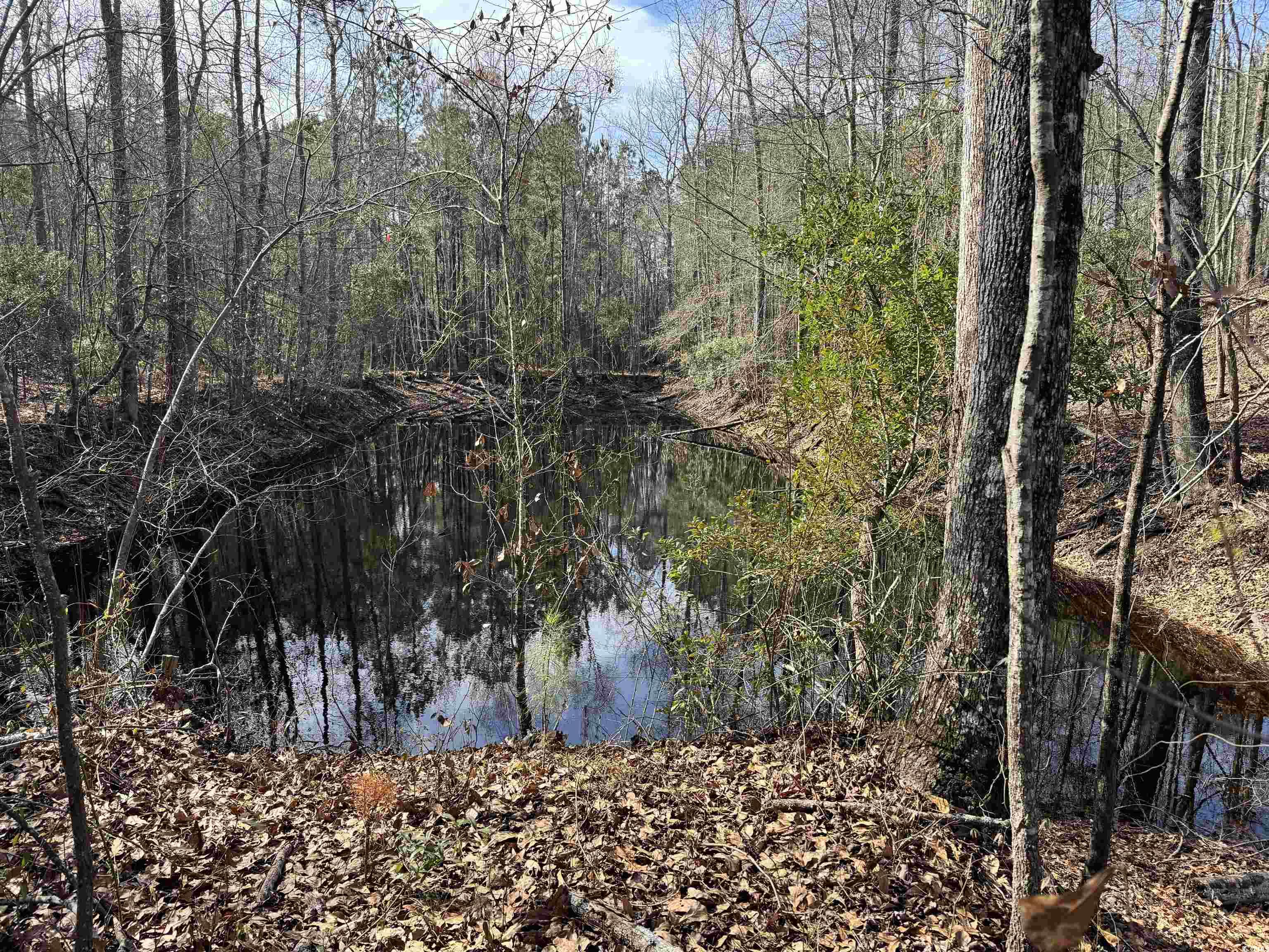 Tbd Tbd Copeland Moody Road Latta, SC 29565 - Photo 2 of 14 View of nature with a forest view