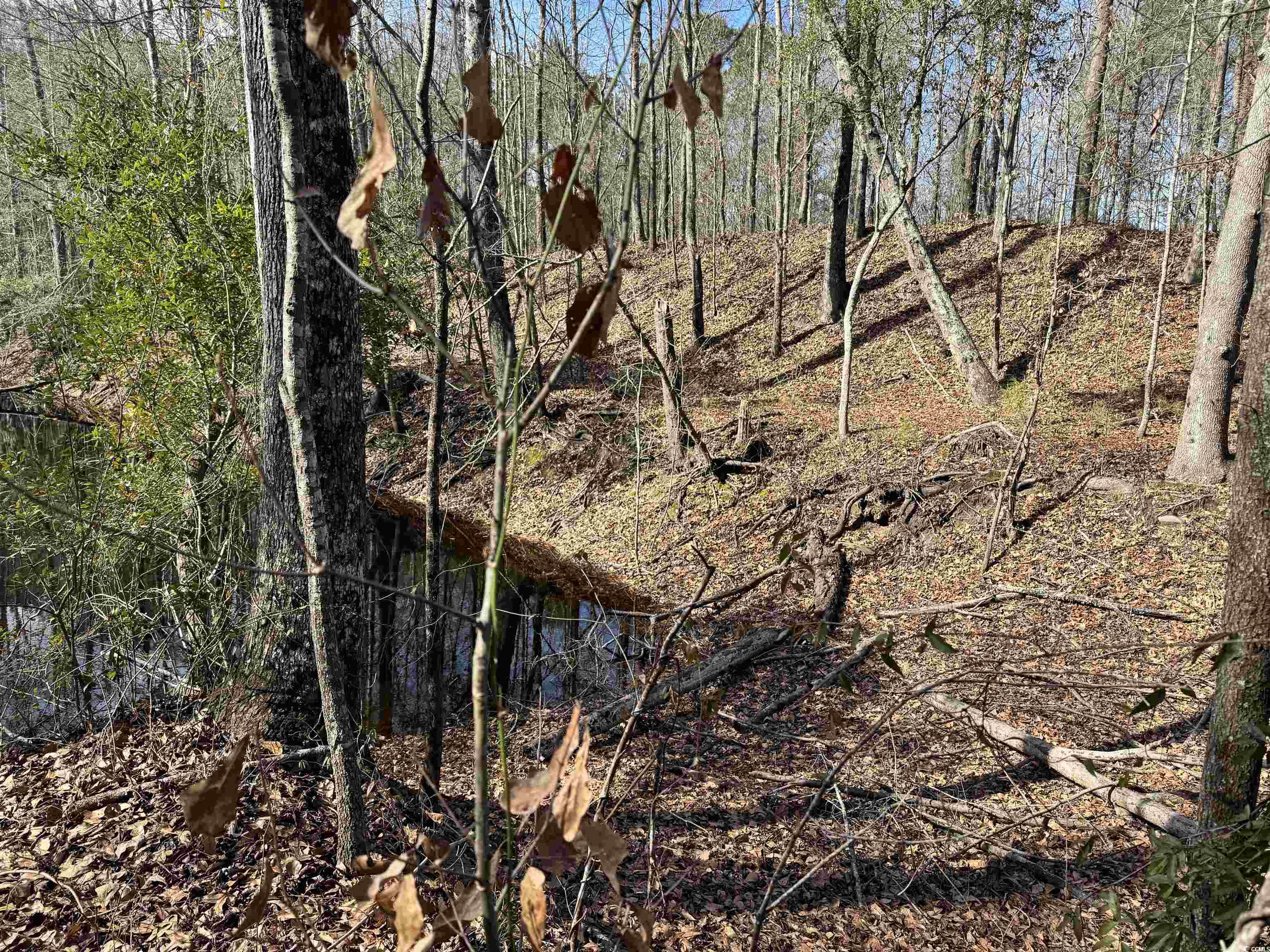Tbd Tbd Copeland Moody Road Latta, SC 29565 - Photo 4 of 14 View of landscape featuring a view of trees
