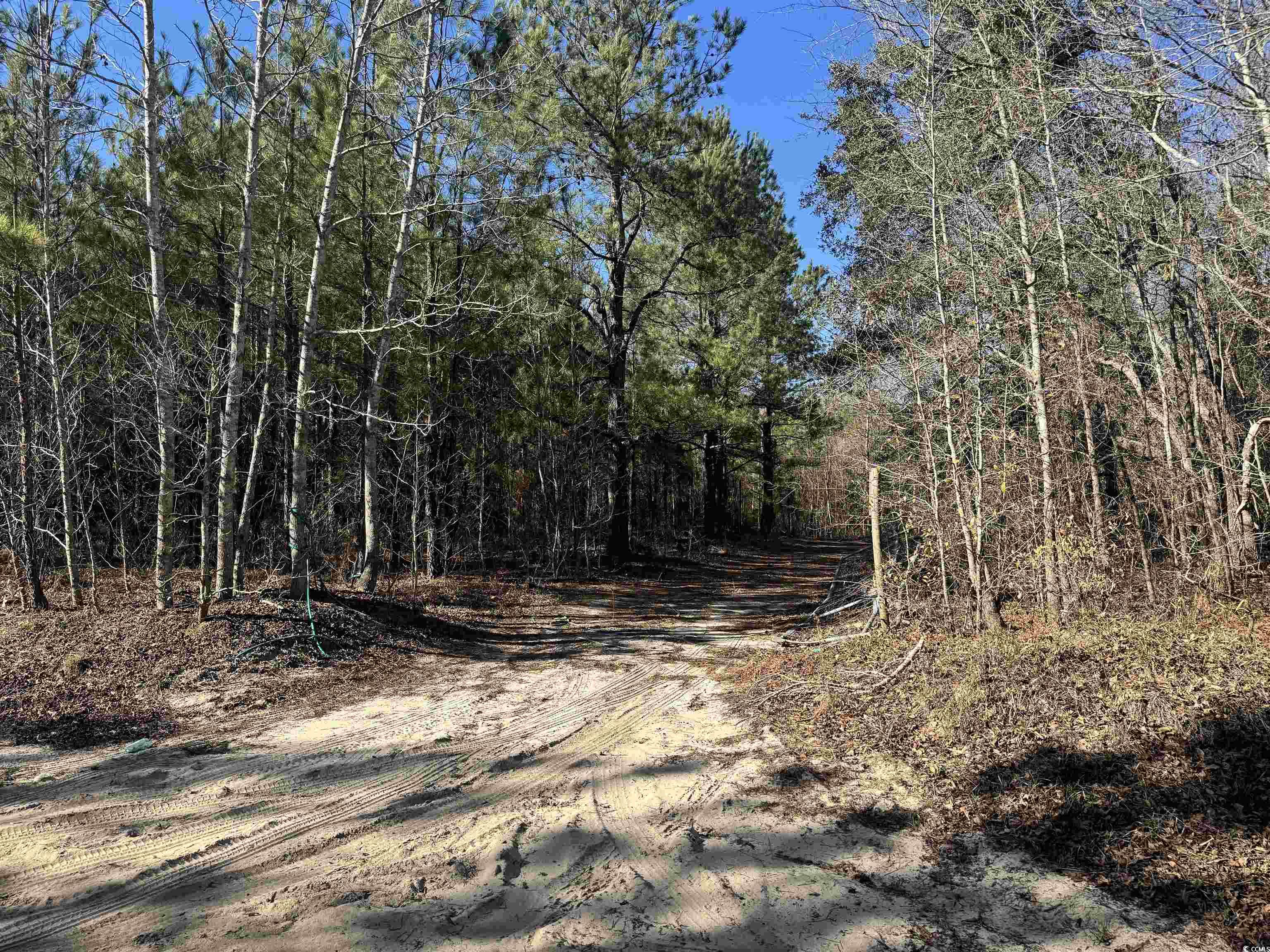 Tbd Tbd Copeland Moody Road Latta, SC 29565 - Photo 9 of 14 View of street featuring a wooded view
