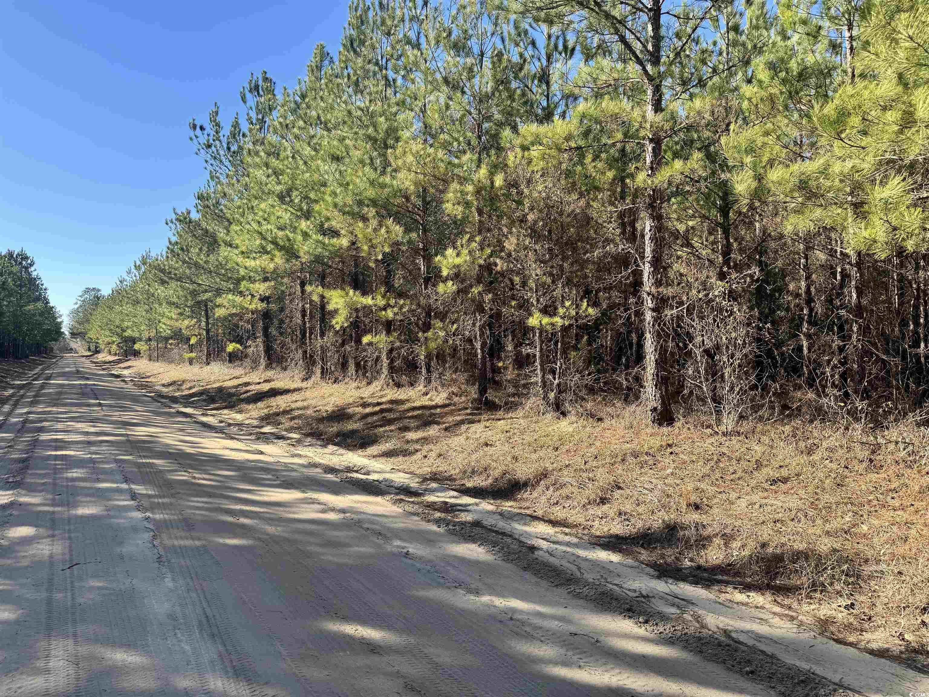 Tbd Tbd Copeland Moody Road Latta, SC 29565 - Photo 10 of 14 View of road featuring a view of trees