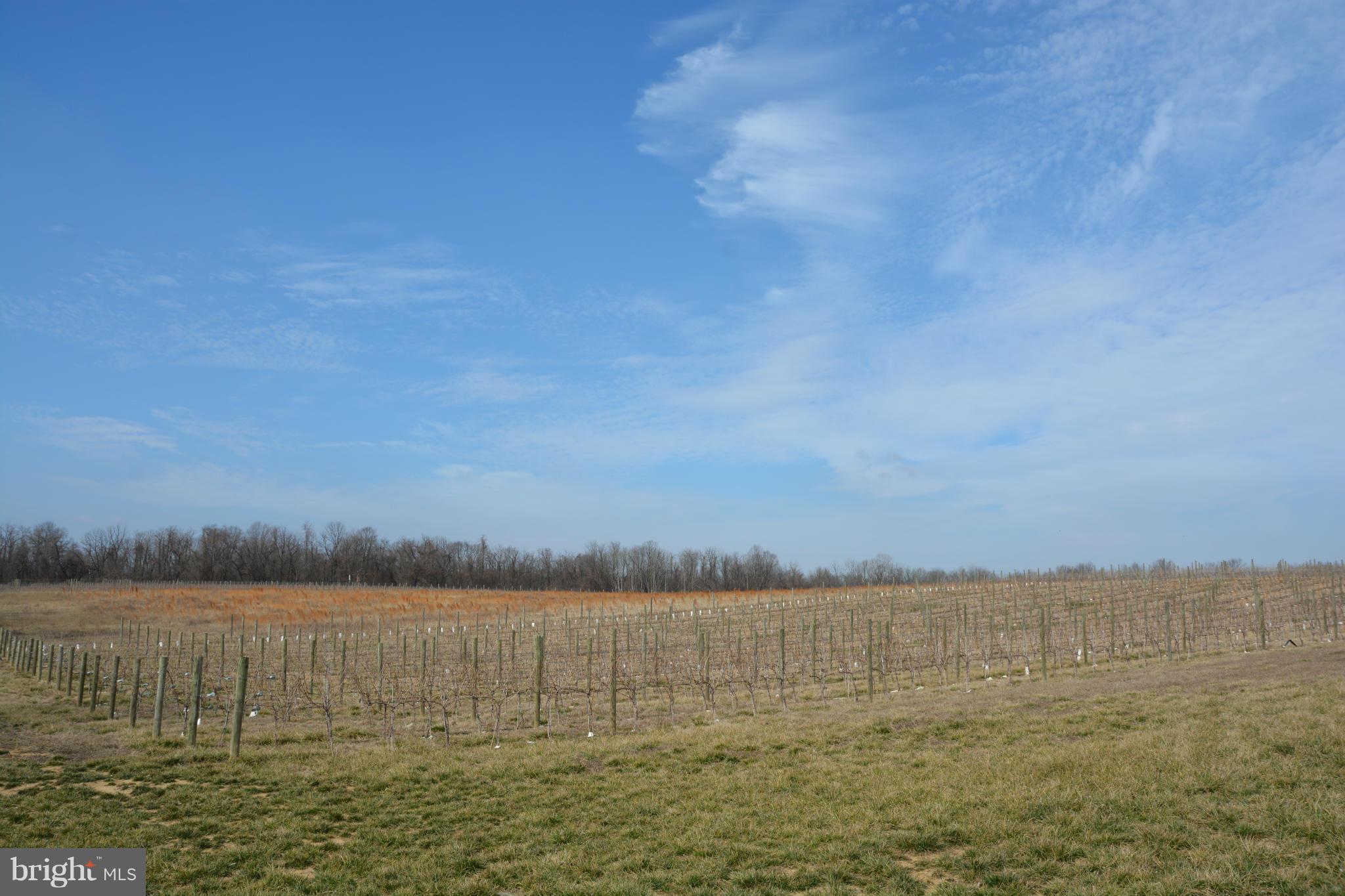 Telegraph Springs Road Purcellville, VA 20132 - Photo 6 of 11 Exterior (General)