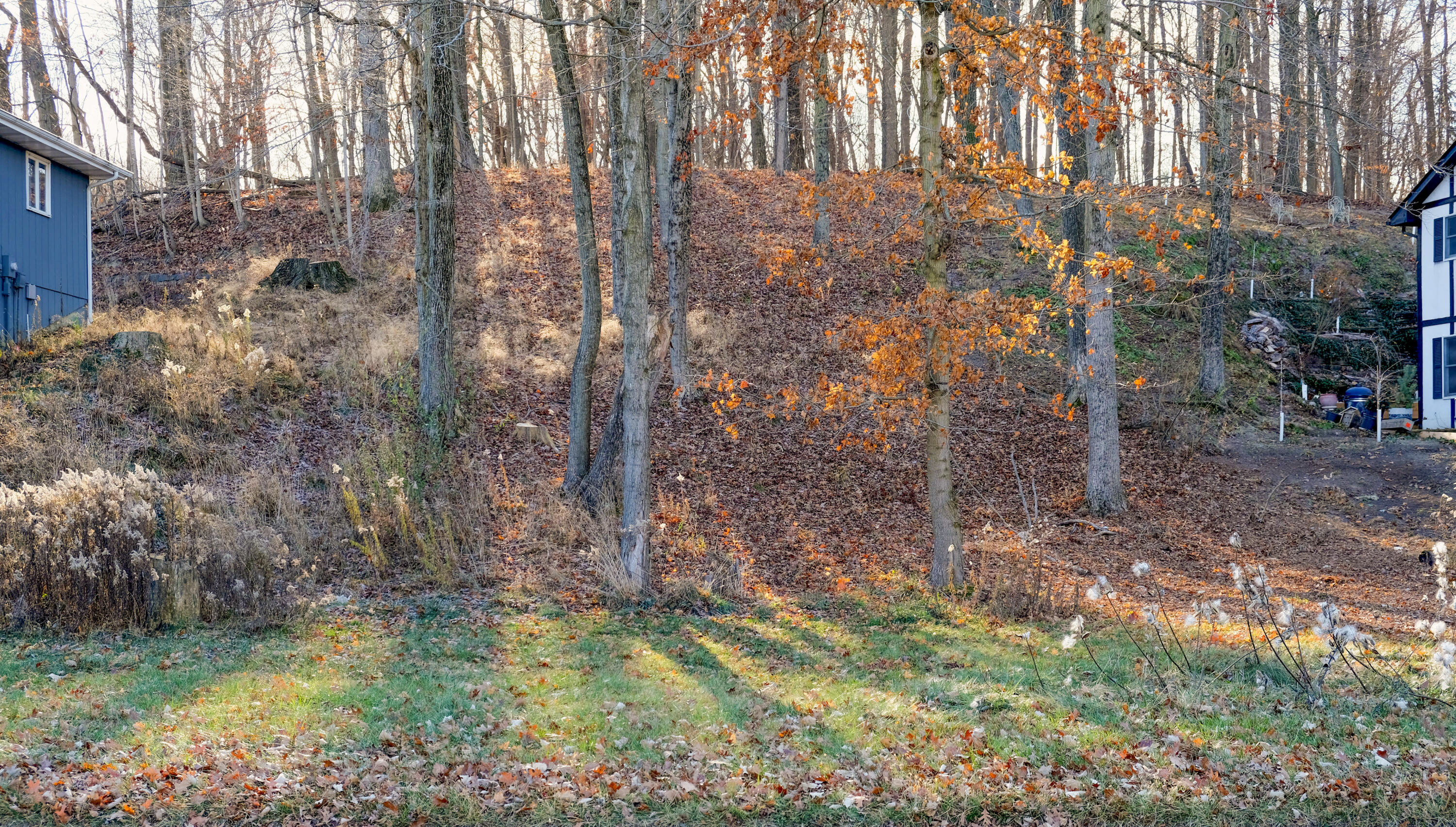 a backyard of a house with lots of green space