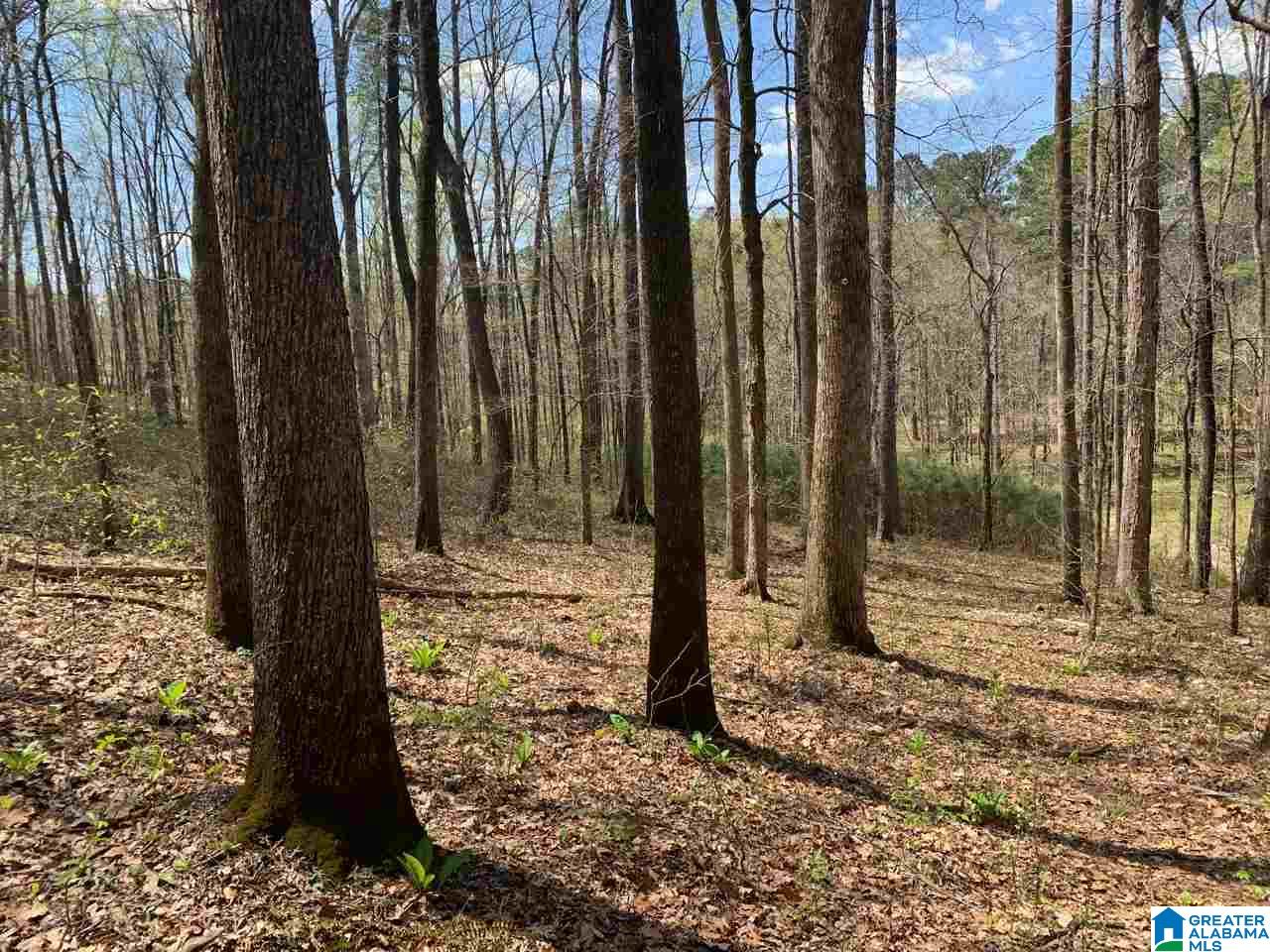 5925 Cahaba Valley Road, Unit 1 Birmingham, AL 35242 - Photo 17 of 21