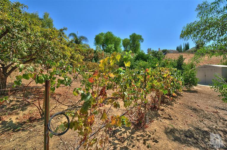 2386 Rudolph Drive Simi Valley, CA 93065 - Photo 32 of 37 Additional Photo