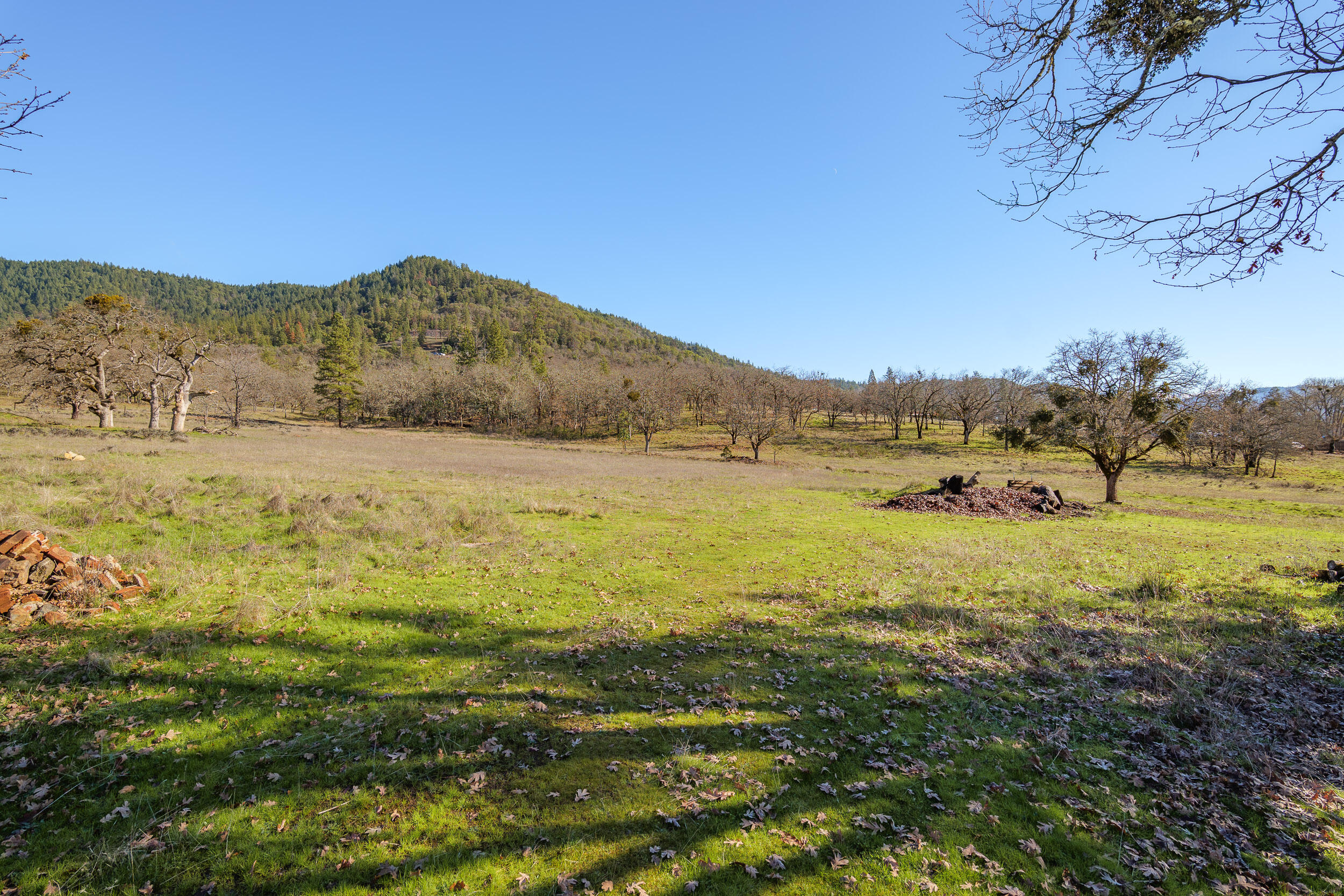 2487 Scoville Road Grants Pass, OR 97526 - Photo 41 of 46 40