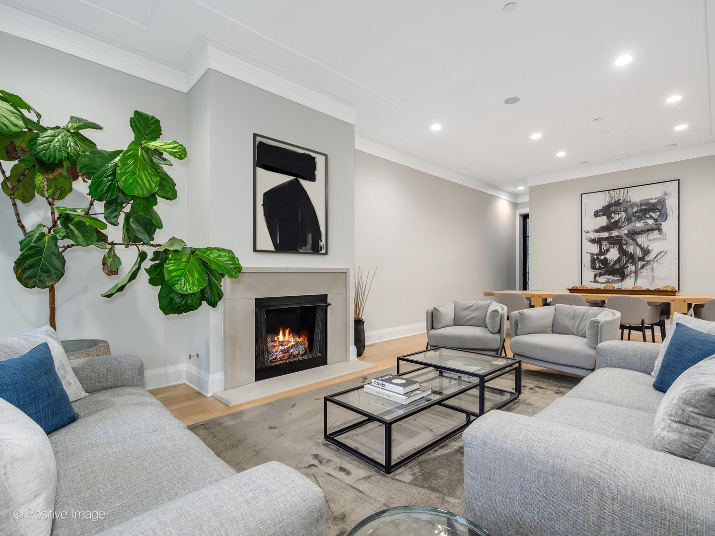 1438 North Dearborn Street Chicago, IL 60610 - Photo 2 of 10