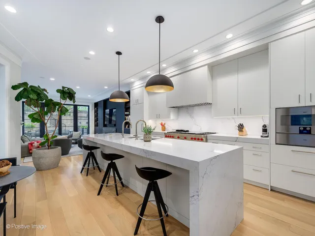 $6,500,000 | 1438 North Dearborn Street, Chicago, IL 60610